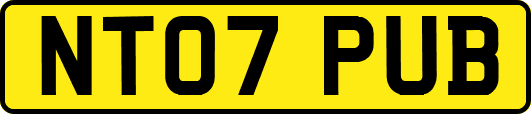 NT07PUB