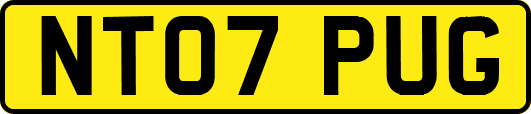 NT07PUG