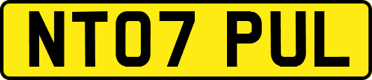 NT07PUL
