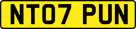 NT07PUN