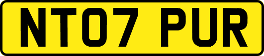 NT07PUR