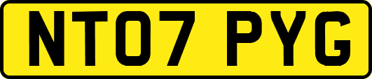 NT07PYG