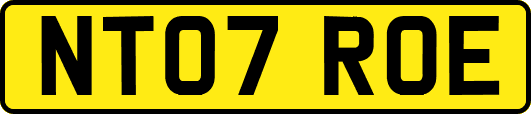 NT07ROE