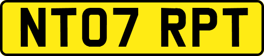 NT07RPT