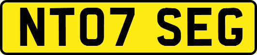 NT07SEG