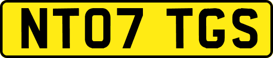 NT07TGS