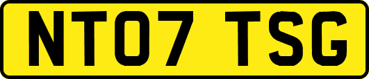 NT07TSG