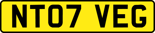 NT07VEG