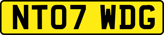 NT07WDG