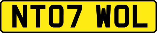 NT07WOL