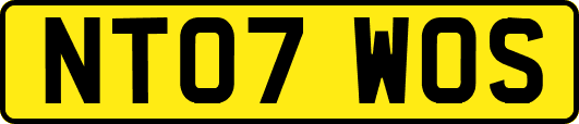NT07WOS