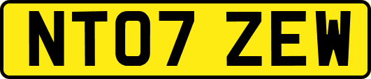 NT07ZEW