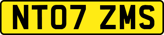 NT07ZMS