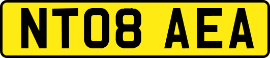 NT08AEA