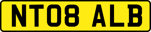 NT08ALB