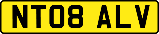 NT08ALV