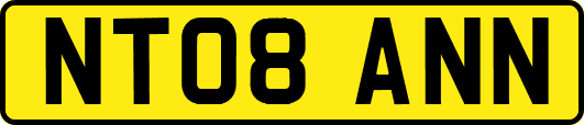 NT08ANN