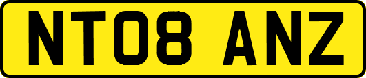 NT08ANZ
