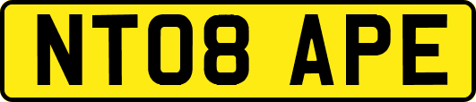 NT08APE