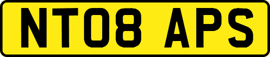 NT08APS