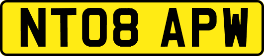 NT08APW