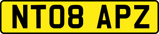 NT08APZ
