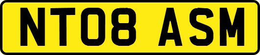 NT08ASM