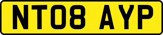 NT08AYP