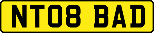 NT08BAD