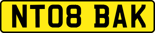NT08BAK