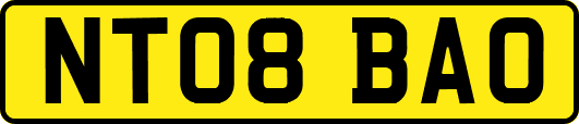 NT08BAO