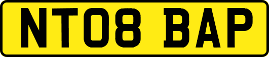 NT08BAP