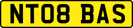 NT08BAS