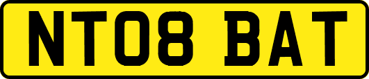 NT08BAT