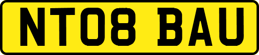 NT08BAU