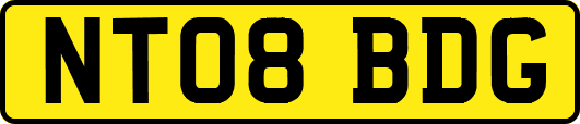 NT08BDG