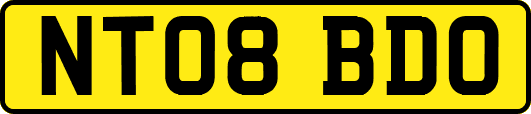 NT08BDO