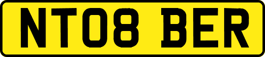 NT08BER