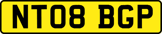 NT08BGP