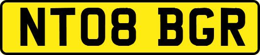 NT08BGR