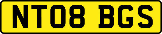 NT08BGS