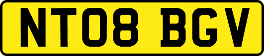 NT08BGV