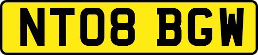 NT08BGW