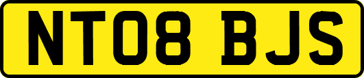 NT08BJS