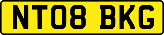 NT08BKG