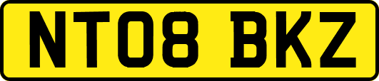 NT08BKZ