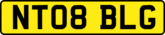 NT08BLG