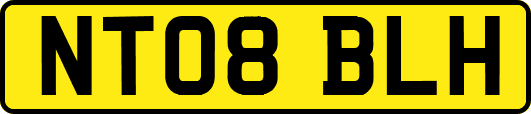 NT08BLH