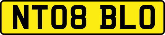 NT08BLO