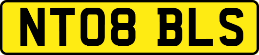 NT08BLS